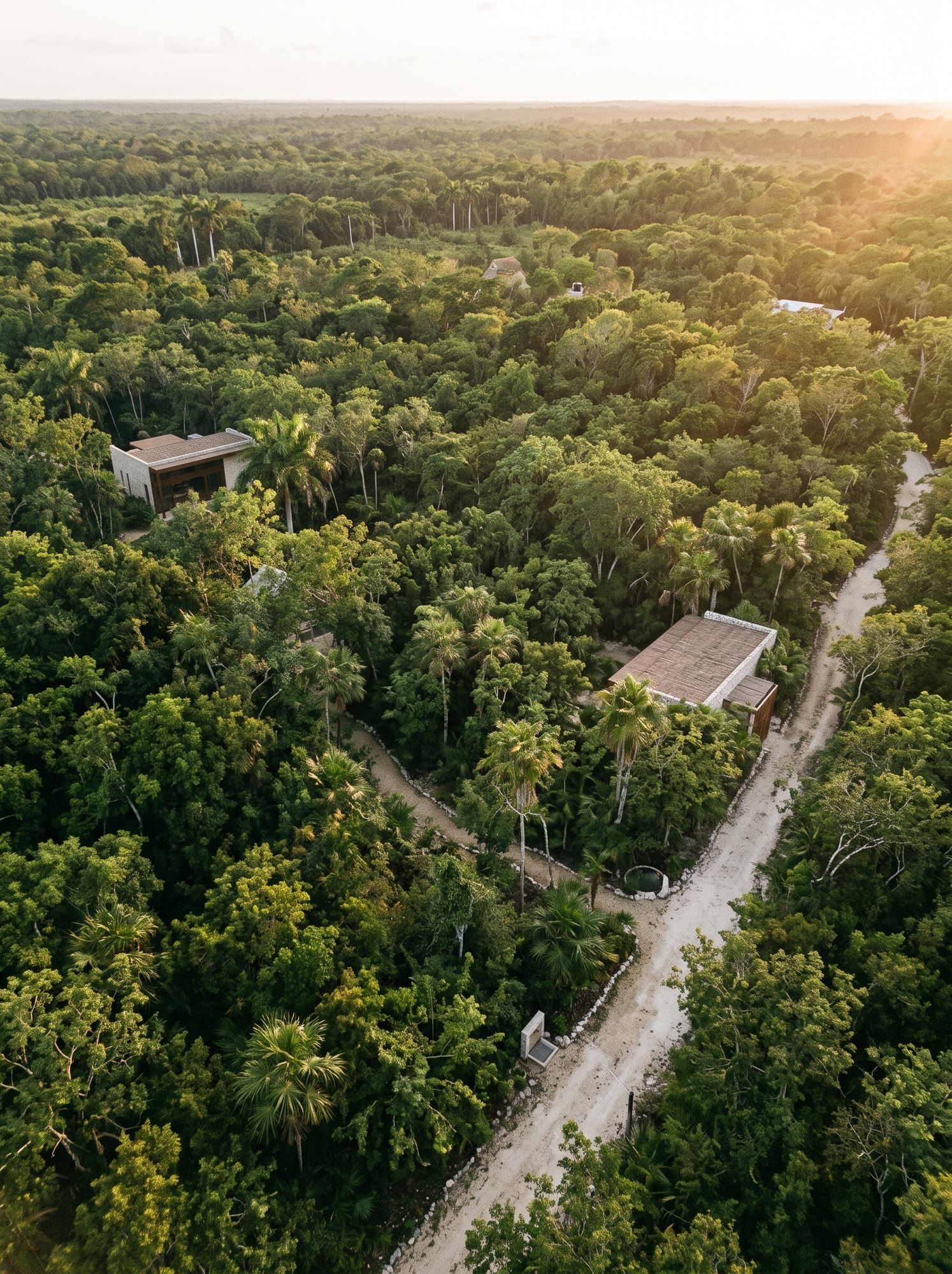 Vista aérea de dos casas separadas por una ancha franja de selva